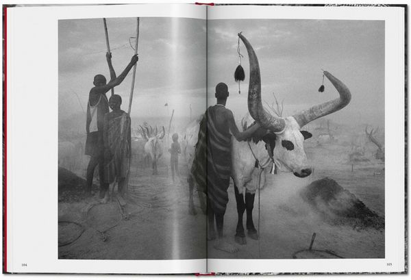 Produktbild: Sebasti&atilde;o Salgado. G&eacute;nesis