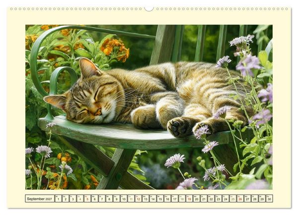 Produktbild: Sch&ouml;ne Katzen. Beliebte Samtpfoten im Garten (hochwertiger Premium Wandkalender 2027 DIN A2 quer), Kunstdruck in Hochglanz