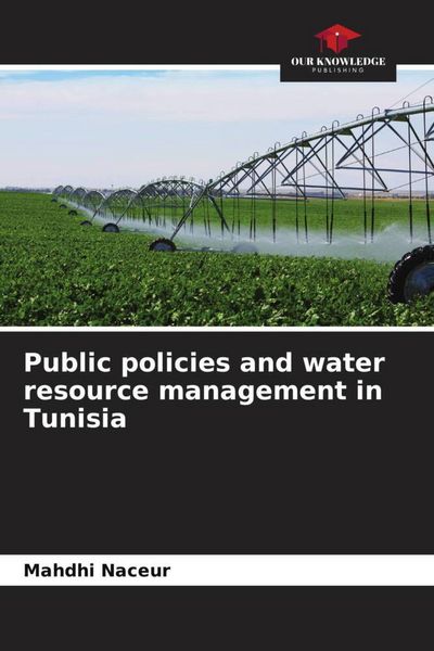 Produktbild: Public policies and water resource management in Tunisia