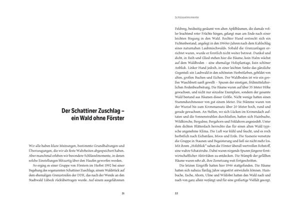 Produktbild: Der ungez&auml;hmte Wald