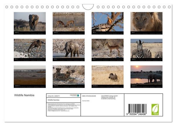 Produktbild: Wildlife Namibia (Wandkalender 2027 DIN A4 quer), CALVENDO Monatskalender