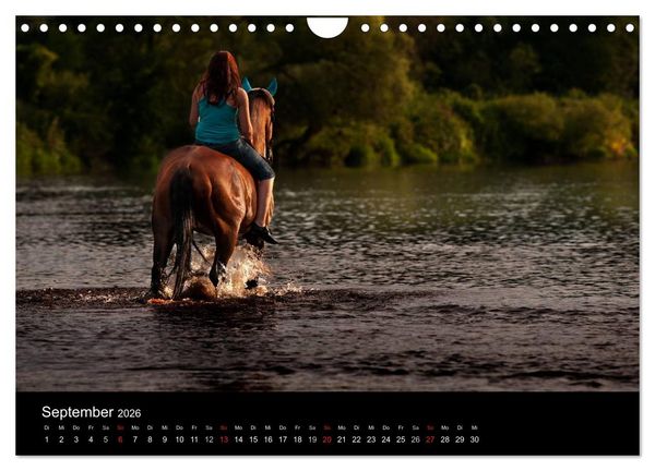 Produktbild: Pferdekalender (Wandkalender 2026 DIN A4 quer), CALVENDO Monatskalender