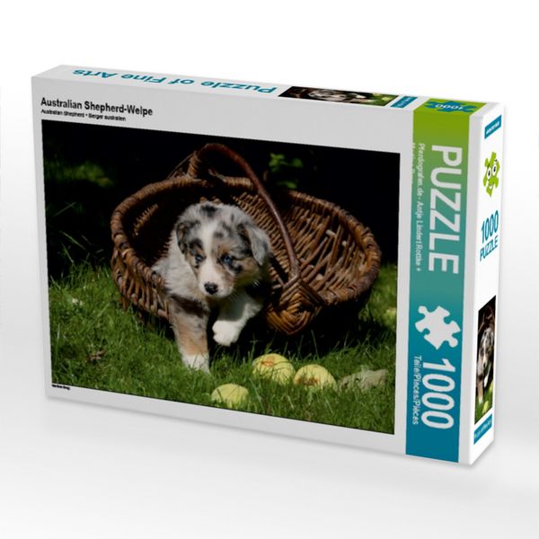 Produktbild: CALVENDO Puzzle Australian Shepherd-Welpe | 1000 Teile Lege-Gr&ouml;&szlig;e 64x48cm Foto-Puzzle f&uuml;r gl&uuml;ckliche Stunden