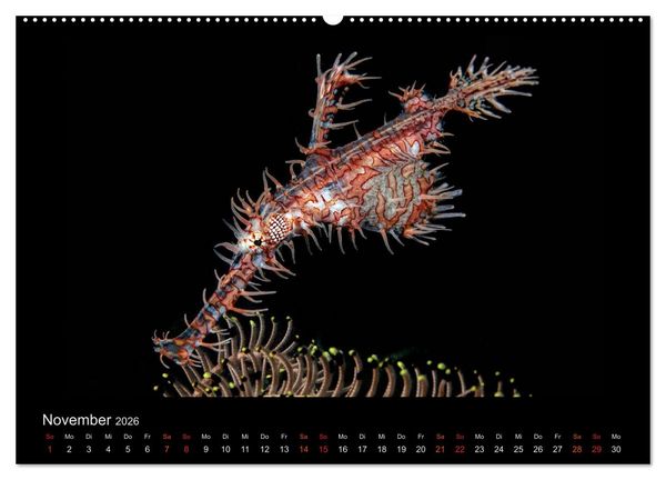 Produktbild: Ocean-Art / CH-Version (hochwertiger Premium Wandkalender 2026 DIN A2 quer), Kunstdruck in Hochglanz