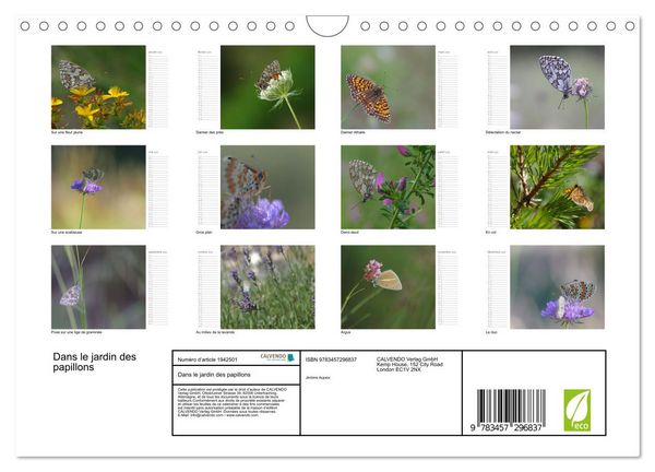 Produktbild: Dans le jardin des papillons (Calendrier mural 2026 DIN A4 vertical), CALVENDO calendrier mensuel