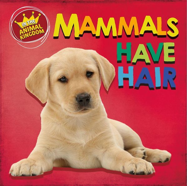 Produktbild: In the Animal Kingdom: Mammals Have Hair