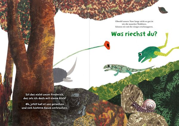 Produktbild: Frederick und seine Freunde &ndash; Komm, wir erkunden den Wald