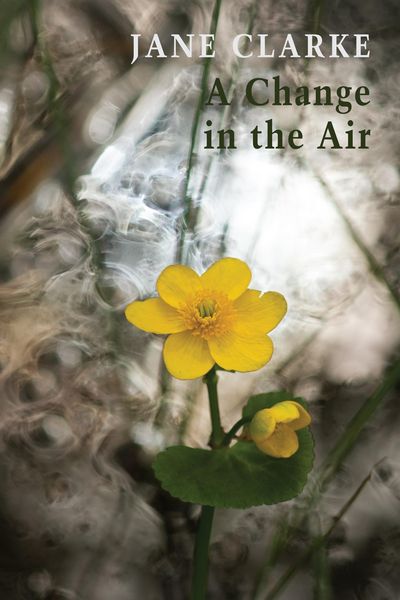 Produktbild: A Change in the Air