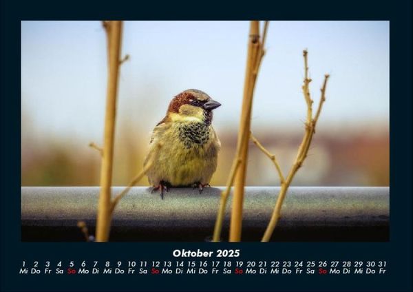 Produktbild: Vogelparadies 2025 Fotokalender DIN A4