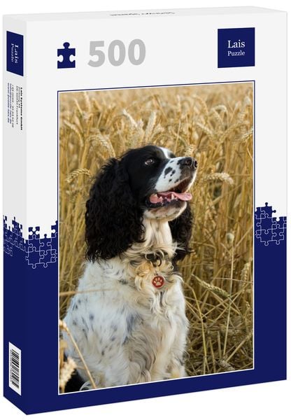 Produktbild: Lais Puzzle Springer Spaniel 500 Teile