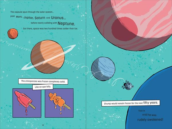 Produktbild: ASTROCHIMP HB