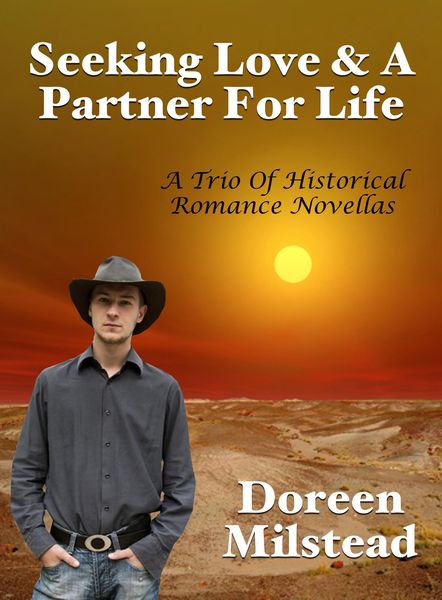 Produktbild: Seeking Love & A Partner For Life: A Trio Of Historical Romance Novellas