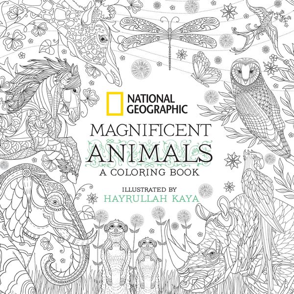 Produktbild: National Geographic Magnificent Animals