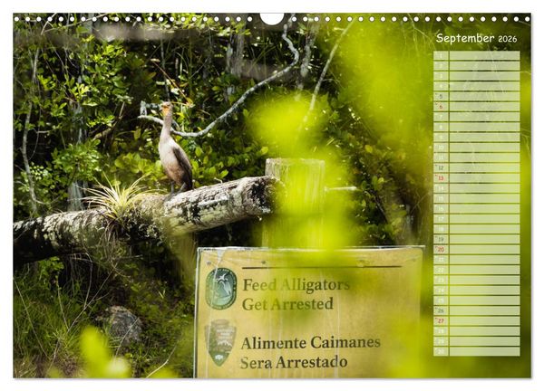 Produktbild: Amerikanische Ostk&uuml;ste (Wandkalender 2026 DIN A3 quer), CALVENDO Monatskalender