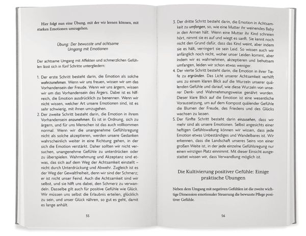 Produktbild: Der Gl&uuml;cksstandard