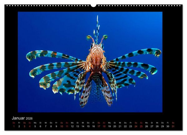 Produktbild: Ocean-Art / CH-Version (Wandkalender 2026 DIN A2 quer), CALVENDO Monatskalender