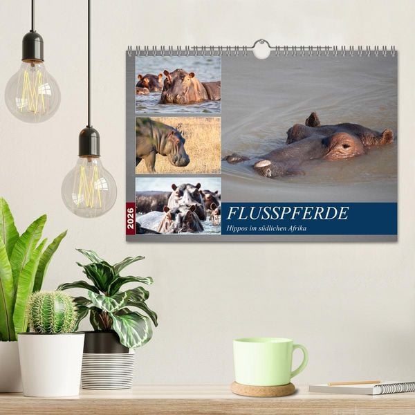 Produktbild: Hippos im s&uuml;dlichen Afrika (Wandkalender 2026 DIN A4 quer), CALVENDO Monatskalender