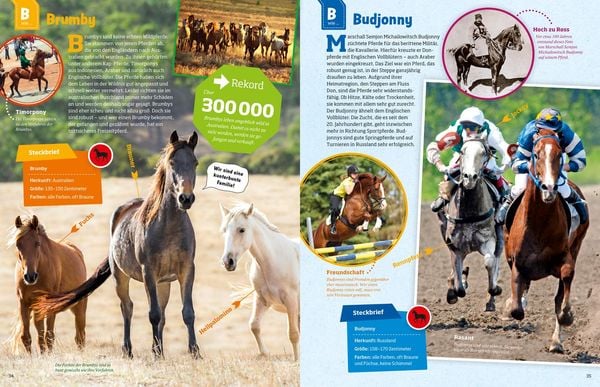 Produktbild: WAS IST WAS Pferde und Ponys