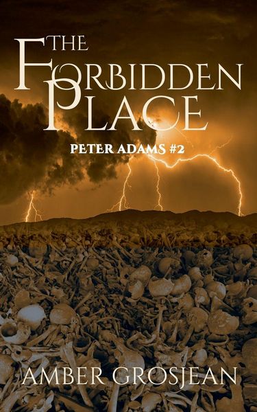 Produktbild: The Forbidden Place