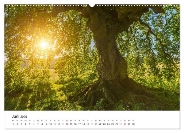 Produktbild: Blicke in die Eifel (Wandkalender 2026 DIN A2 quer), CALVENDO Monatskalender