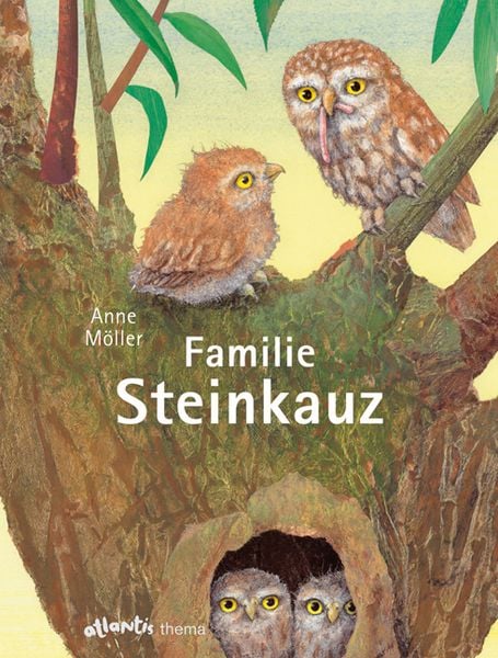 Produktbild: Familie Steinkauz