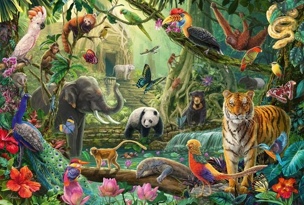 Produktbild: Bunte Tierwelt im Dschungel