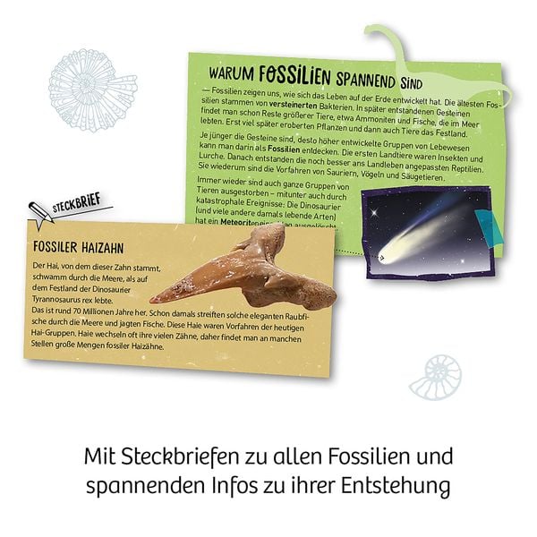 Produktbild: Fossilien