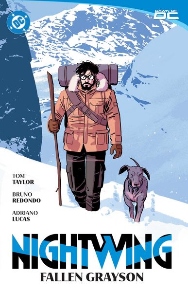 Produktbild: Nightwing Vol. 7: Fallen Grayson