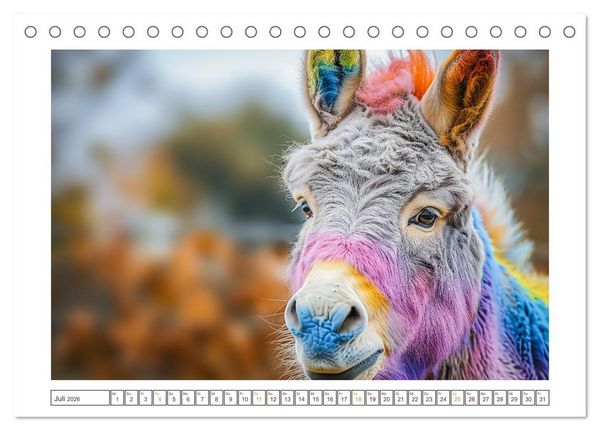 Produktbild: Lustige Eselgeschichten (Tischkalender 2026 DIN A5 quer), CALVENDO Monatskalender