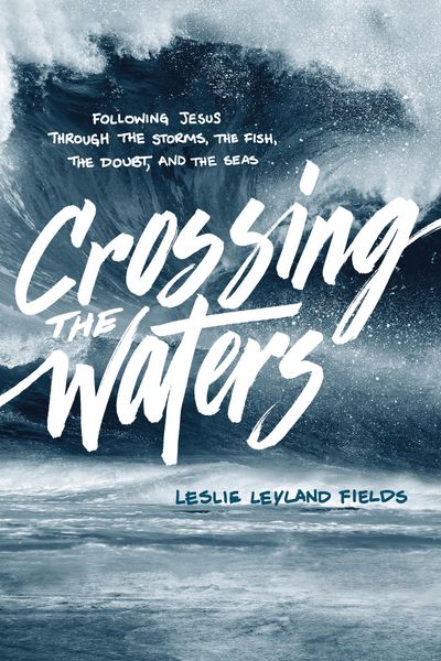 Produktbild: Crossing the Waters