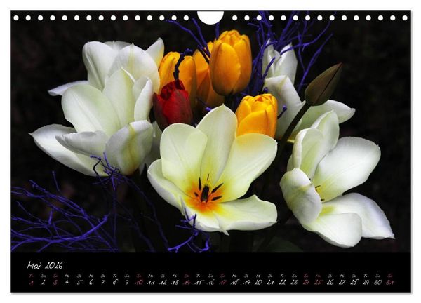 Produktbild: Soul-Jazz - Visuelle Musik der Blumen (Wandkalender 2026 DIN A4 quer), CALVENDO Monatskalender