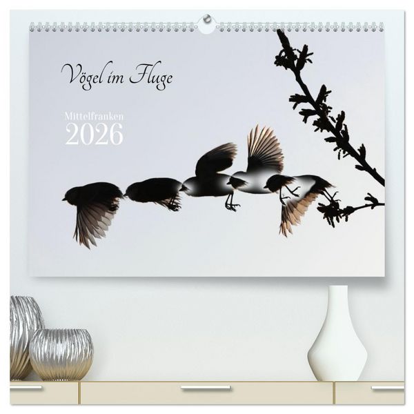 Produktbild: V&ouml;gel im Fluge (hochwertiger Premium Wandkalender 2026 DIN A2 quer), Kunstdruck in Hochglanz