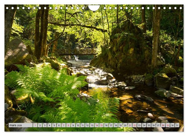 Produktbild: Splendeurs des Vosges (Calendrier mural 2026 DIN A4 vertical), CALVENDO calendrier mensuel