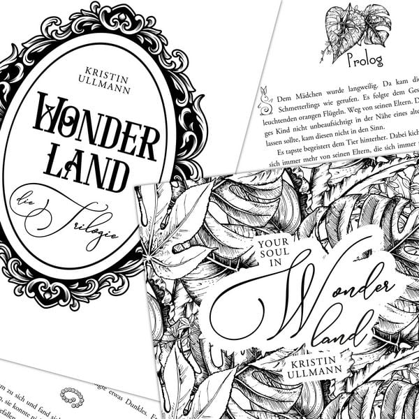 Produktbild: Wonderland - die Trilogie