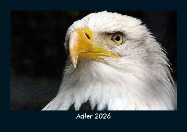Produktbild: Adler 2026 Fotokalender DIN A5