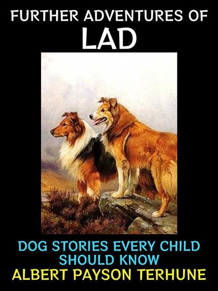 Produktbild: Further Adventures of Lad