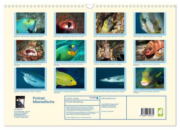Produktbild: Portrait: Meeresfische (Wandkalender 2026 DIN A3 quer), CALVENDO Monatskalender