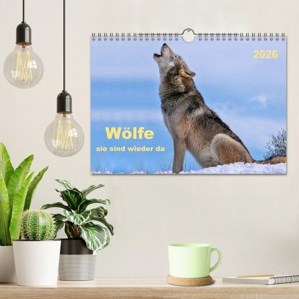Produktbild: W&ouml;lfe - sie sind wieder da (Wandkalender 2026 DIN A4 quer), CALVENDO Monatskalender