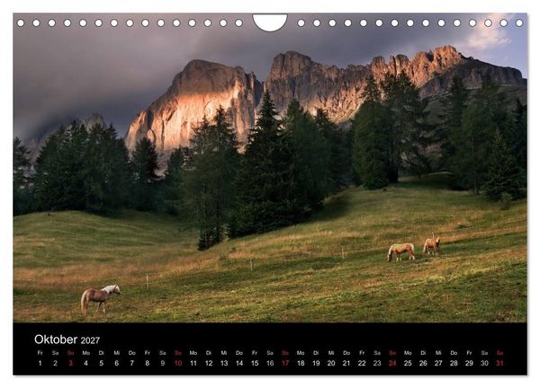 Produktbild: Wundersch&ouml;ne Haflingerwelt (Wandkalender 2027 DIN A4 quer), CALVENDO Monatskalender