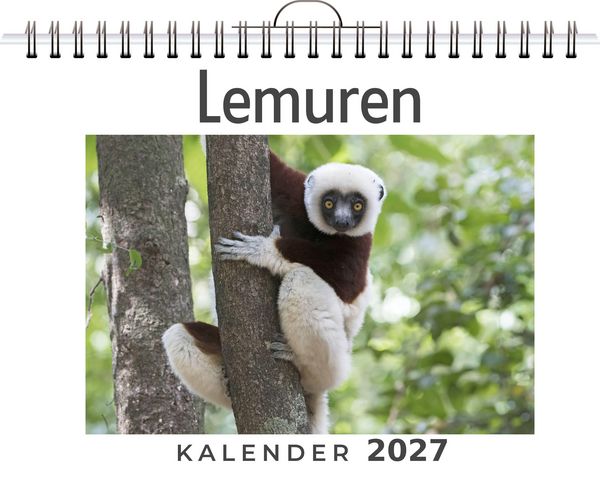 Produktbild: Lemuren