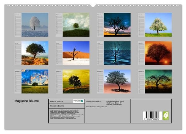 Produktbild: Magische B&auml;ume (hochwertiger Premium Wandkalender 2026 DIN A2 quer), Kunstdruck in Hochglanz