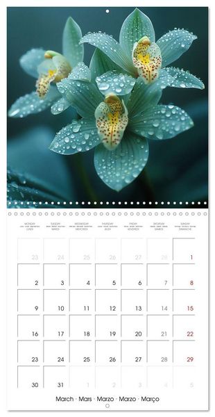Produktbild: colorful orchid family planner (Wall Calendar 2026 12 &times; 12 Inch) CALVENDO 12 Month Wall Calendar