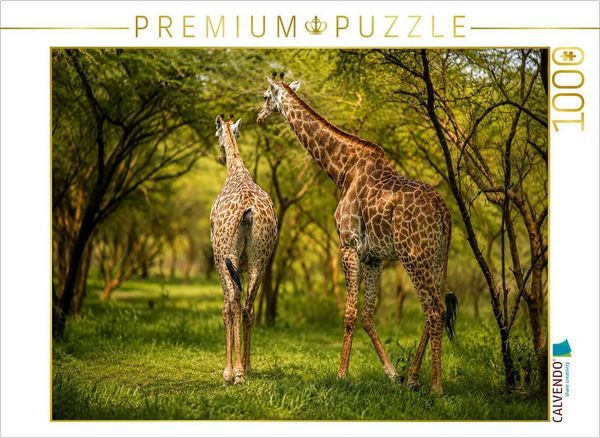 CALVENDO Puzzle Giraffen in der Savanne - Faszinierende Tierwelt im Senegal | 1000 Teile Lege-Größe 64 × 48 cm Foto-Puzzle für glückliche Stunden