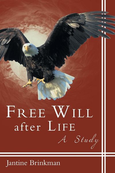 Produktbild: Free Will After Life