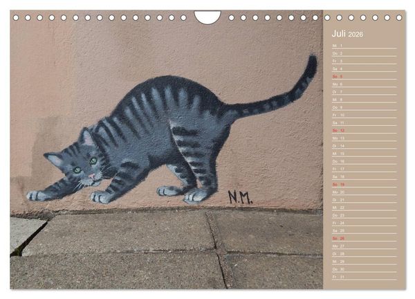 Produktbild: Flensburger Katzen (Wandkalender 2026 DIN A4 quer), CALVENDO Monatskalender