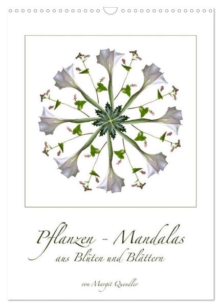 Produktbild: Pflanzen - Mandalas aus Bl&uuml;ten und Bl&auml;ttern (Wandkalender 2026 DIN A3 hoch), CALVENDO Monatskalender