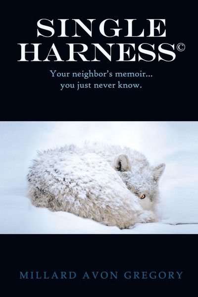 Produktbild: Title Single Harness(c)