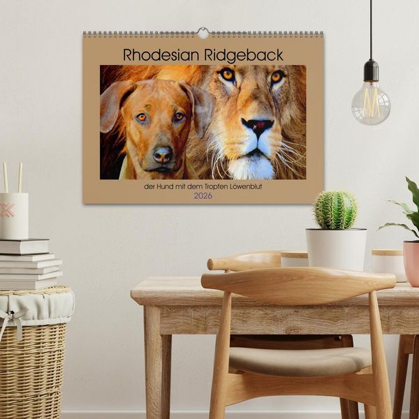 Produktbild: Rhodesian Ridgeback der Hund mit dem Tropfen L&ouml;wenblut (Wandkalender 2026 DIN A3 quer), CALVENDO Monatskalender
