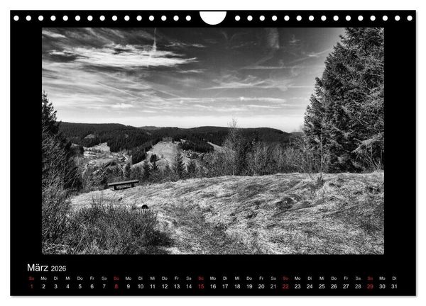 Produktbild: Harz-Bilder in monochrome (Wandkalender 2026 DIN A4 quer), CALVENDO Monatskalender