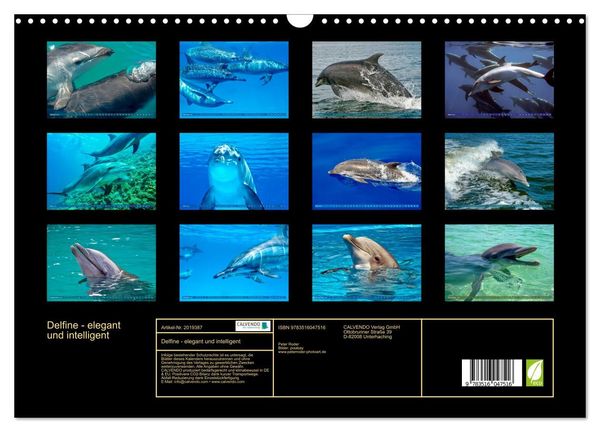 Produktbild: Delfine - elegant und intelligent (Wandkalender 2026 DIN A3 quer), CALVENDO Monatskalender